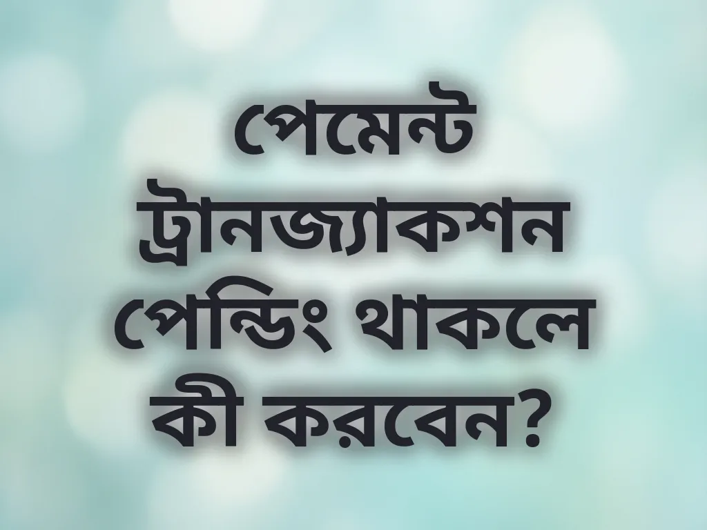 পেমেন্ট ট্রানজ্যাকশন পেন্ডিং থাকলে কী করবেন?
